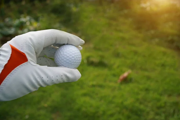 Hand Wearing Golf Glove Holding White Golf Ball Green Background —  Fotos de Stock