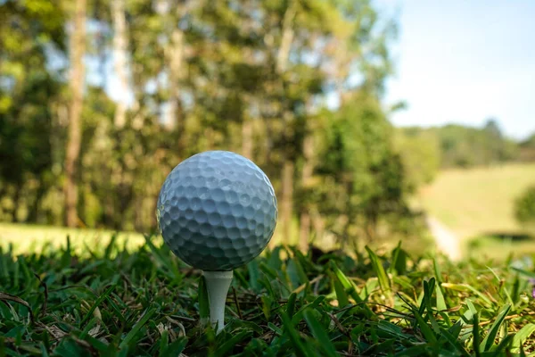 Pelota Golf Está Camiseta Césped Verde Hermoso Campo Golf Con —  Fotos de Stock