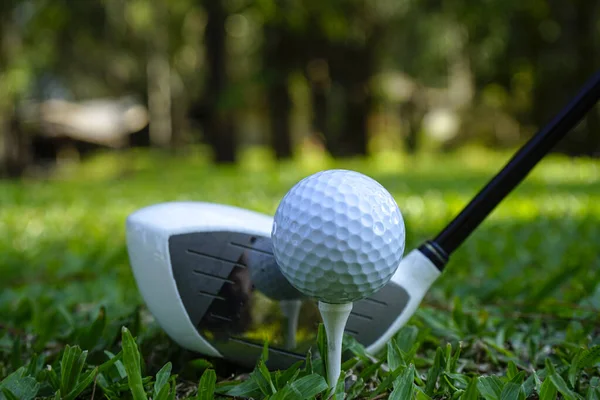 Golf Clubs Balls Green Lawn Beautiful Golf Course Morning Sunshine — Stok fotoğraf