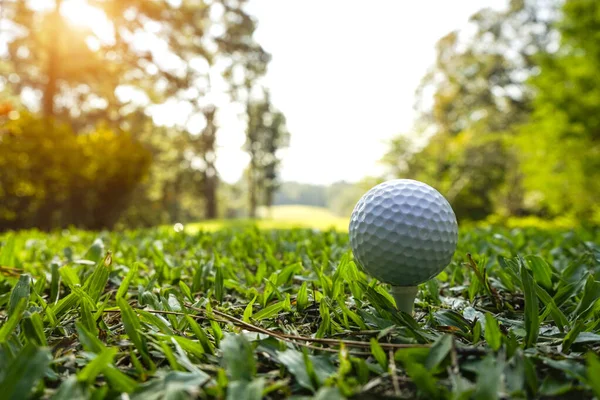 Golf Ball Tee Green Lawn Beautiful Golf Course Morning Sunshine — Stockfoto