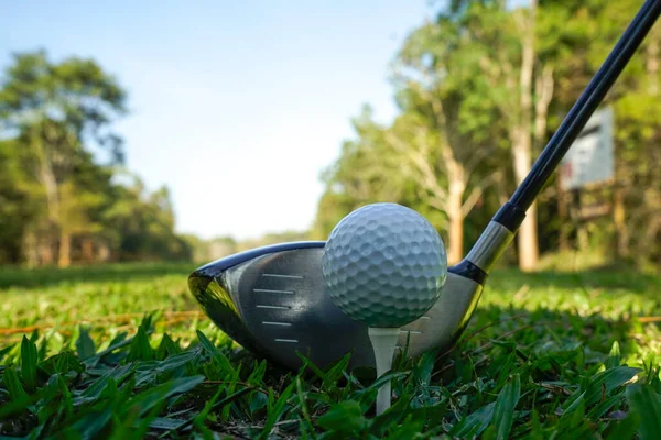 Golf Klubok Labdák Egy Zöld Gyepen Egy Gyönyörű Golfpályán Reggeli — Stock Fotó