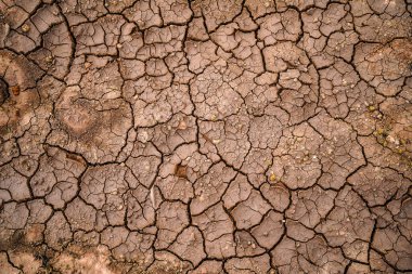 Tayland 'daki kurak arazi dokusu. Gezegendeki küresel su sıkıntısı. Küresel ısınma ve sera etkisi kavramı                               