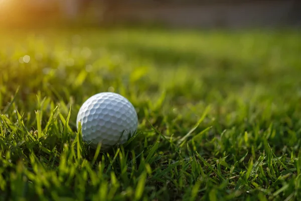 Golf Labda Egy Zöld Gyepen Egy Gyönyörű Golfpályán Reggeli Napsütéssel — Stock Fotó