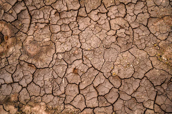 Struktura Sucha Thajsku Celosvětový Nedostatek Vody Planetě Koncept Globálního Oteplování — Stock fotografie