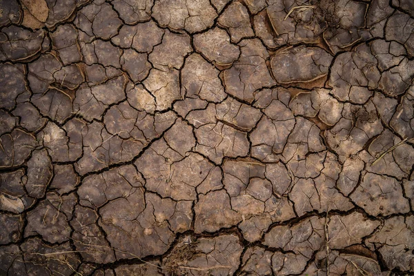 Struktura Sucha Thajsku Celosvětový Nedostatek Vody Planetě Koncept Globálního Oteplování — Stock fotografie