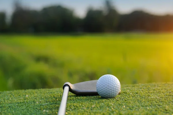 Vista Superior Una Pelota Golf Con Putter Campo Verde Atardecer — Foto de Stock