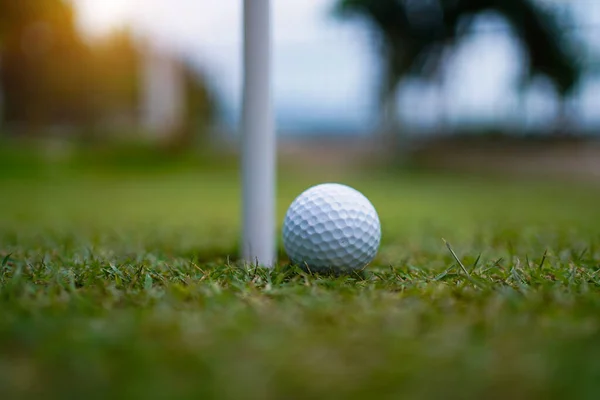 ホールでのグリーンコース上のゴルフボールのトップビュー 夕方のゴルフコースで緑のゴルフボールとゴルフクラブ太陽の光と — ストック写真