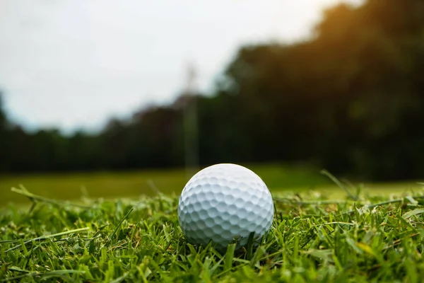 Golfbal Green Met Warme Toon Zonsondergang Golfbal Green Field Golfbaan — Stockfoto