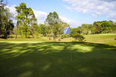 Golf sahasında yeşil çimenler ve ağaçlar. Golf sahasının manzarası ve güzel bir golf sahası. Zengin yeşil çimenlikli golf sahası. Güzel manzara..                               