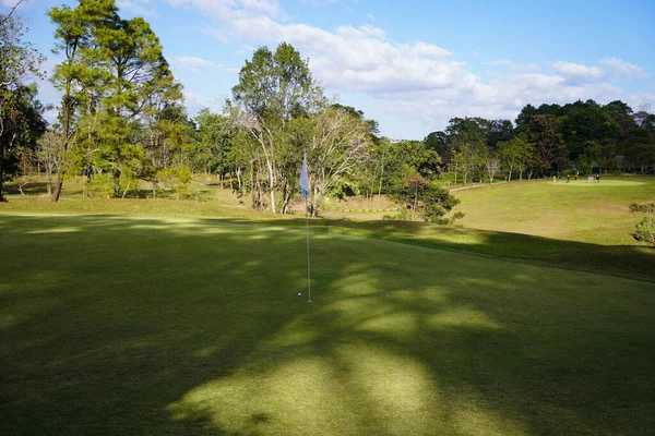 Erba Verde Boschi Campo Golf Vista Del Campo Golf Con — Foto Stock