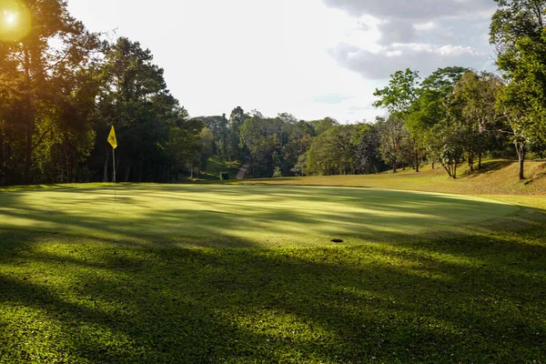 골프장의 잔디와 골프장의 잔디와 녹색으로 아름다운 코스가 보인다 아름다운 잔디가 — 스톡 사진