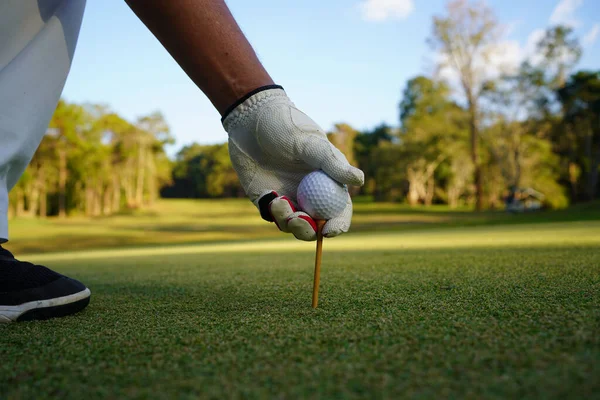 Mão Segurar Bola Golfe Com Tee Curso Fundo Campo Golfe — Fotografia de Stock