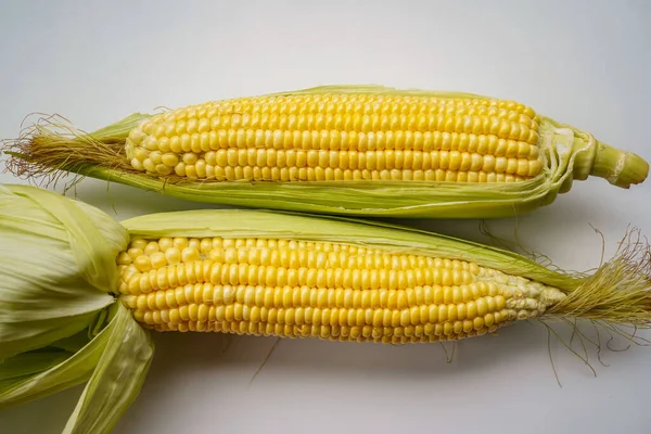 Fresh corn or maize isolated in white background. Raw organic fresh yellow corn on cobs on the table.