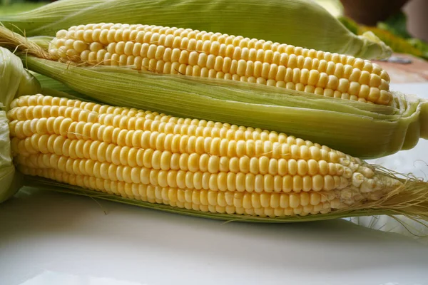 Fresh corn or maize isolated in white background. Raw organic fresh yellow corn on cobs on the table.