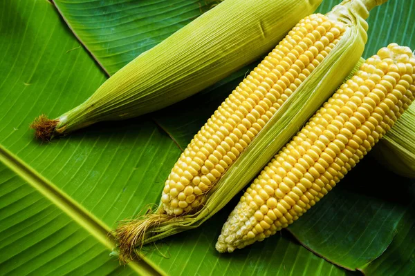 Fornelli Grano Crudo Maturo Rimangono Una Foglia Banana Verde Sano — Foto Stock