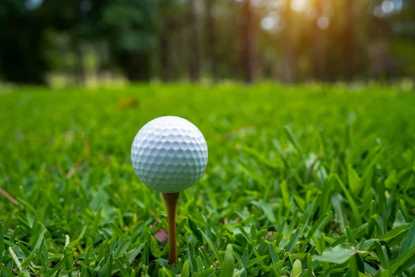 Close Van Golfbal Tee Prachtige Golfbaan Bij Zonsondergang Achtergrond Klaar — Stockfoto