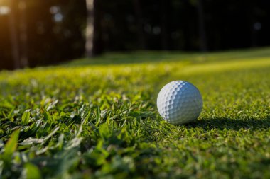Golf topu yeşil çimlerin üzerinde sabah güneşli güzel bir golf sahasında. Dünyanın dört bir yanındaki insanların sağlık için oynadığı ilk kısa süreli golfe hazırım..