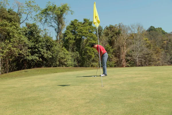 Golfare Lägger Golf Kvällens Golfbana Baklänges Golfare Slår Golfboll Sport — Stockfoto