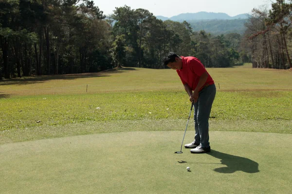 Golfisté Dávají Golf Večerního Golfového Hřiště Backglound Golfista Odpaluje Golfový — Stock fotografie