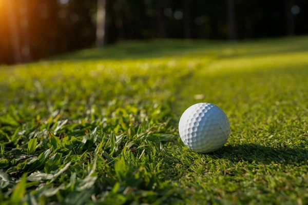 Golf Topu Yeşil Çimlerin Üzerinde Golf Sahasında Arka Planda Güneş — Stok fotoğraf