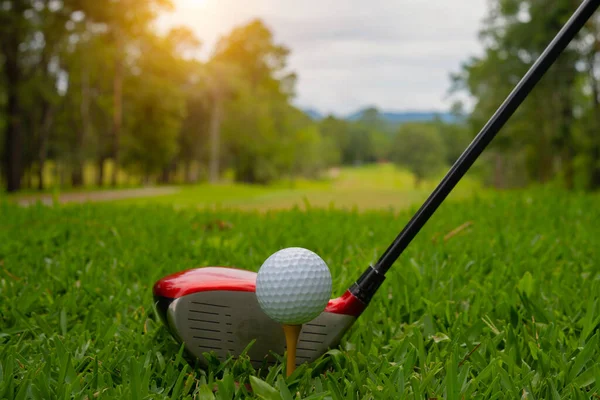 Golf Sopası Top Yeşil Çimlerde Golf Sahasında Golf Sopalarıyla Golf — Stok fotoğraf