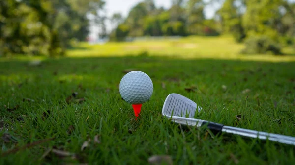 Golfboll Och Golfklubb Green Kvällen Golfbana Med Solsken Thailand — Stockfoto