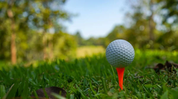Golfbal Groene Gazon Een Prachtige Golfbaan Met Ochtendzon Klaar Voor — Stockfoto
