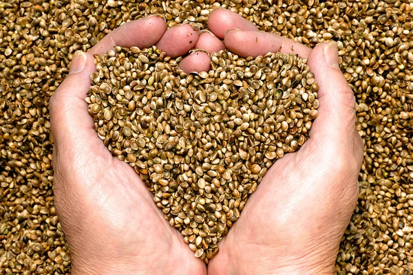 Hemp seed