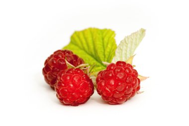 Ahududu ve yeşil yapraklar