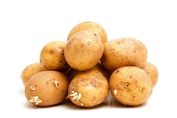 Mucchio di patate — Foto Stock