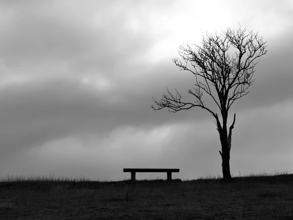 Loneliness — Stock Photo, Image