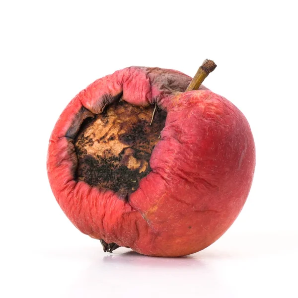 Гнилое яблоко — стоковое фото
