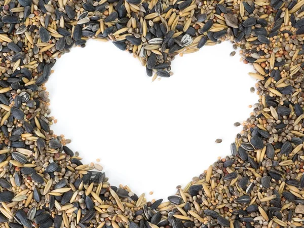 Bird seed heart — Stock Photo, Image