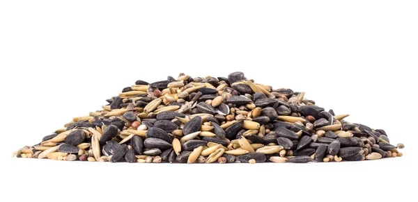 Pile of bird seeds — Stock Photo, Image