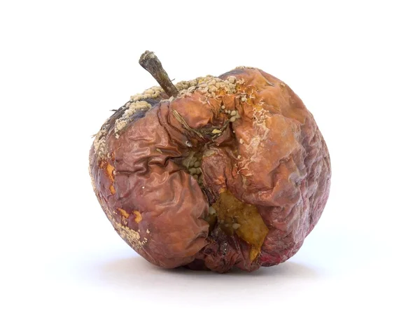 Staré shnilé jablko — Stock fotografie