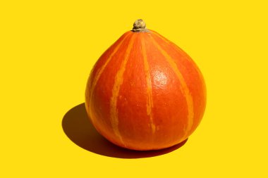 Küçük olgun sulu sonbahar balkabağı sarı arka planda sert ışıkta