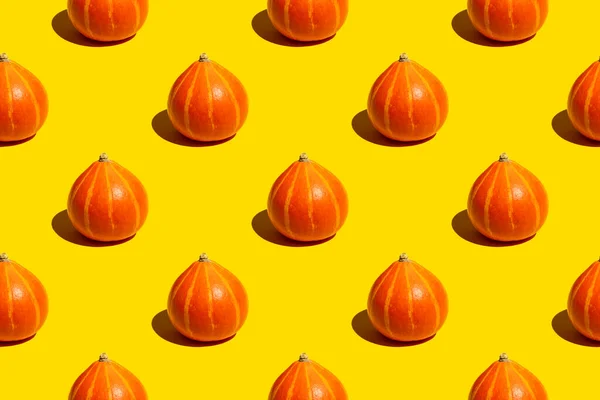 Modèle Sans Couture Citrouilles Juteuses Mûres Tout Automne Orange Sur — Photo