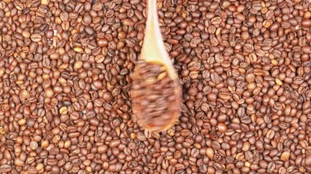 Rostade Aromatiska Naturliga Kaffebönor Faller Från Trä Miljövänlig Sked — Stockvideo