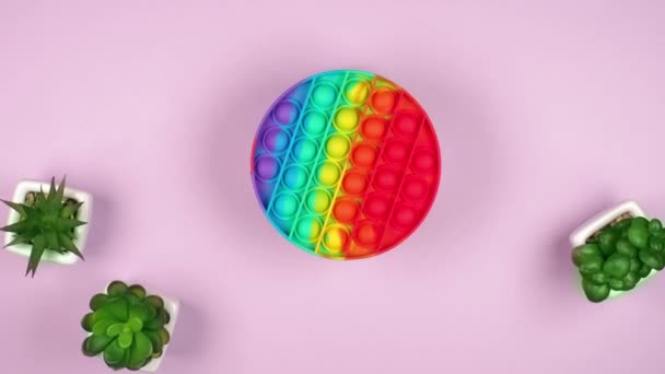 圆形彩虹硅酮趋势玩具抗压力弹出它在它的轴上旋转与粉色背景与三种绿色植物 — 图库视频影像