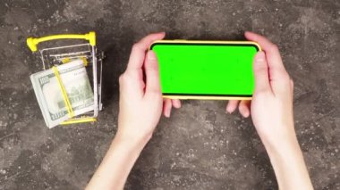 Elinde yeşil ekranlı akıllı telefon tutan genç bir kızın elleri gri bir arka planda 100 dolarlık banknotları olan küçük bir market arabasıyla başvuru için makara yapıyor.