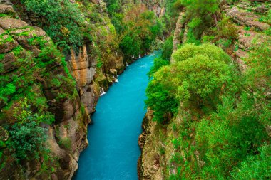 Kanyon ve orman arasında bir nehir. Manavgat, Antalya, Türkiye. Rafting turizmi.
