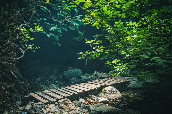 井田山 風駄木 国立公園内の木製の橋の景色 大気中の緑の生息地 Edremit Balikesir トルコ — ストック写真