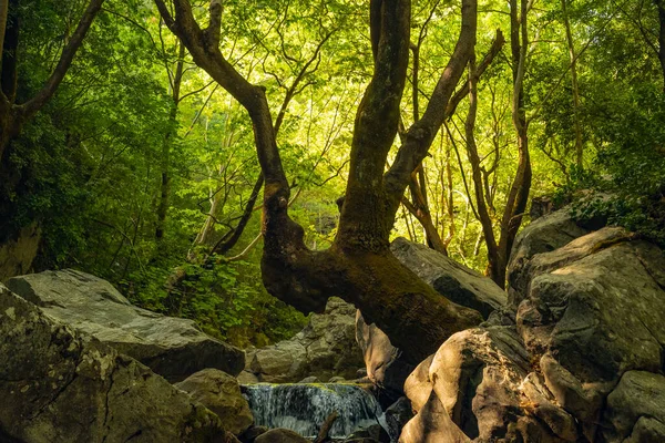 Río Hasanboguldu Las Cascadas Edremit Provincia Balikesir Turquía Monte Ida — Foto de Stock