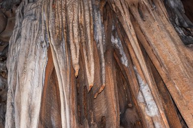 İnkaya mağarasında sarkıtın yakın görüntüsü. İzmir, Türkiye