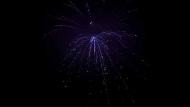 Fuochi d'artificio 93 — Video Stock