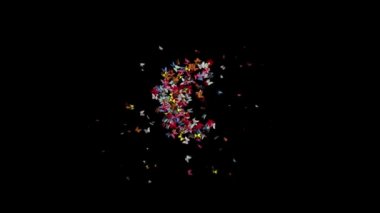 Colored Butterfly gather and form Typeface with alpha and  loop at frame 170-224 the character EURO