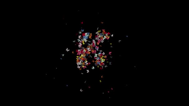 Gekleurde Vlinder Verzamelen Vormen Typeface Met Alpha Lus Frame 170 — Stockvideo