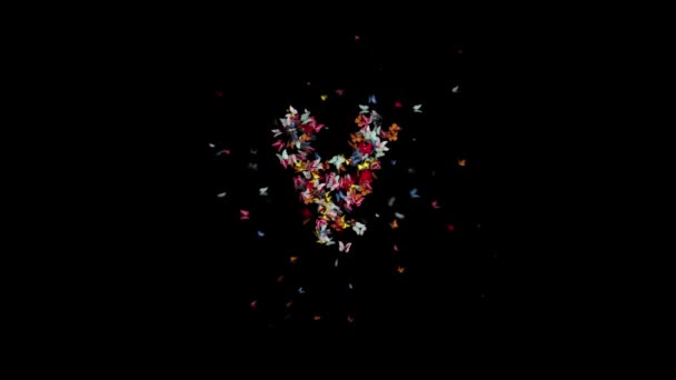 Colored Butterfly Gather Form Typeface Alpha Loop Frame 170 224 — Stockvideo