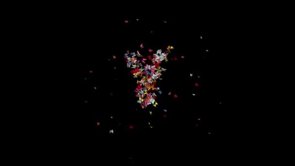 色蝶が集まり フレーム170 224でアルファとループでTypefaceを形成します 文字Y — ストック動画