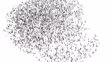  Crowd of people gather to form the county of Greece Loop from frame 76